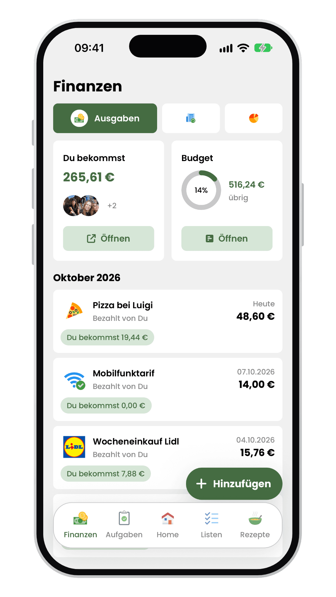 Livo-Finanzübersicht mit Ausgaben, offenen Beträgen und Haushaltsbudget